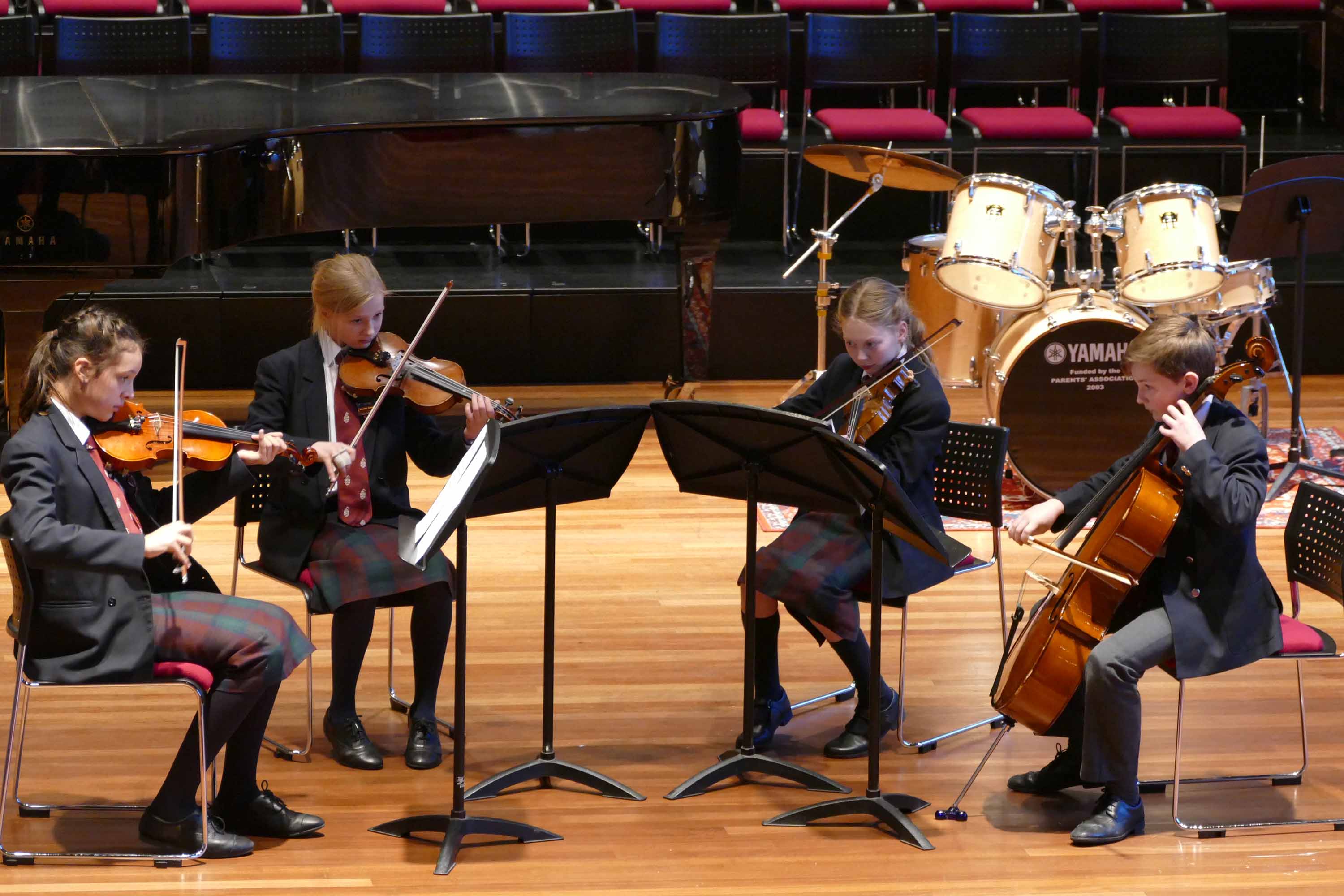 String Chamber Workshop and Concert - 2nd February 2018